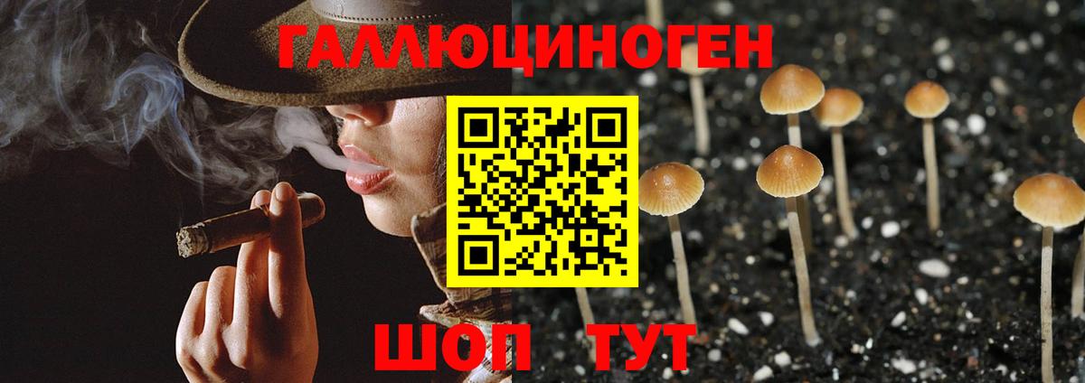 Галлюциногенные грибы MAGIC MUSHROOMS  Вход с VPN  Новозыбков  Галлюциногенные грибы GOLDEN TEACHER 
